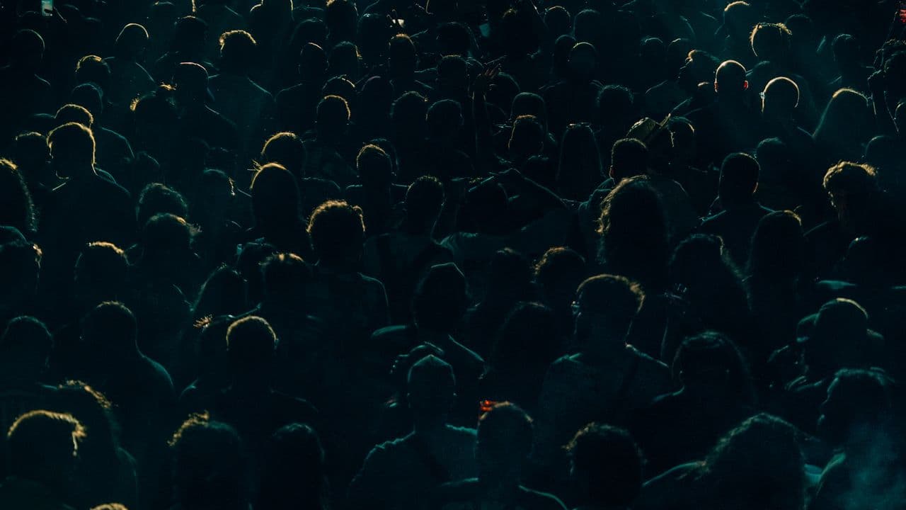 Foule dense lors d’un concert, éclairée en contre-jour.